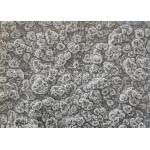 12μm  ~18 Μm  Resistance Copper Foil for Automotive Electronics