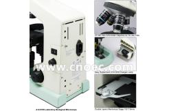 China E100 Learning Wide Field Microscope Halogen Illumination Microscopes A12.0705 supplier