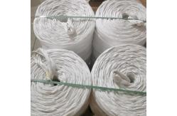 China Big Cable Flame Resistance PP Filler Yarn 300KD-600KD Polypropylene Caco3 supplier