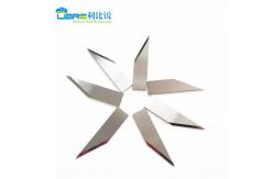 China Flat Stock Tungsten Carbide Oscillating Blade Pointed Z16 Z17 supplier