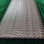                  Sunshine Chain Guide Roller Stainless Steel Belt Conveyoraisi314/SS304/316              for sale