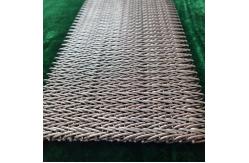 China High strength Spiral Mesh Belt Stainless Steel Wire Mesh Belt supplier
