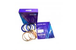 China Hydraulic Cylinder Seal Kit DX140 ARM Seal Kit For Industrial Sealing Solutions supplier