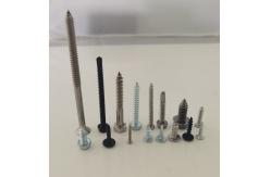 China Self Drilling Screws Self Tapping Screw Wood Screw supplier