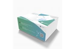 China Home 15-20 Minutes Antigen Self Test Kit 25 Test/Box supplier