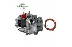 China Fuel Injection Pump 3088300 3086397 3096205 for Engine KTA19 QSK19 supplier