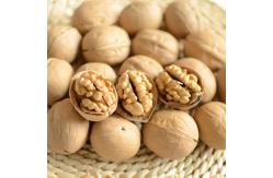 China Walnut Xin 2 supplier