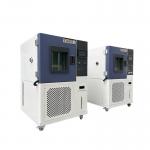 Customized Temperature Humidity Chamber For Sports Sciences And Textile Applications