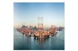 China From China To UAE Middle East International DDP Sea Freight Forwarder supplier