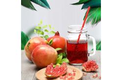 China SUS304 Concentrated Fruit Juice Processing Line For Pomegranate supplier