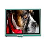 TCG057QVLCT-H50 5.7 inch 320*240 LCD Screen For Kyocera for sale