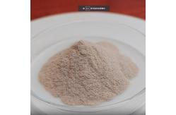 China Flavourzyme Enzyme 30000u/g Protease Manufacturers Customized Enzyme Activity supplier