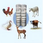2.0MM High Tensile Strength Galvanized Wire Farm Cattle Fence For Vegetables Garden Netting Surface Treatment for sale