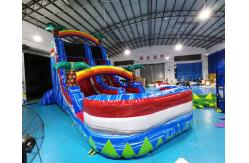 China Outdoor Palm Tree Bounce House Blow Up Pool Slide supplier