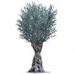 Realistic Tree Trunk olive artificial tree Large Faux Olive Tree Plant with Branches and Fruits for Modern Home Office Living Room Floor Decor Indoor for sale