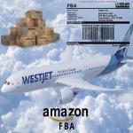 Door To Door China To USA Amazon Air Freight for sale