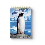 Animal Spiral Bound Notebook School Stationery Set 3D Printing