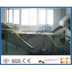 Surfing Type Fruit And Vegetable Washer Machine / Fruit And Vegetable Cleaning Machine for sale
