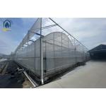 Multi Span Greenhouse Solar Energy Systems For Sustainable Ecofriendly Farming