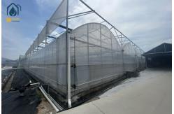 China Multi Span Greenhouse Solar Energy Systems For Sustainable Ecofriendly Farming supplier