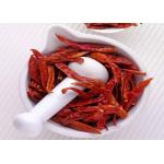 BRC Dehydrating Chillies Pasta Use  Szechuan Dried Chili 14% Moisture for sale