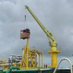 1.5T 10M  Offshore Pedestal Mounted Cranes API 2C Stiff Boom Crane for sale