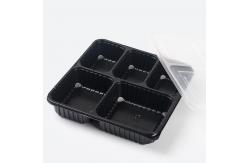 China Plastic Fast Food Containers supplier