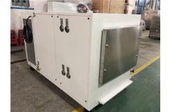 China Programmable Temperature and Humidity Environmental Heating Resistant Test Chamber supplier