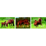 Landscape Animal 3D Custom Lenticular Printing Picture 3 Imaged Flip Poster For Gif for sale