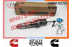 China Remanufactured High Quality Common Rail Diesel Fuel Injector 4954644 4954888 supplier