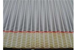 China Large Loop Paper Making Spiral Dryer Screen supplier
