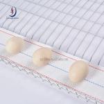 Polypropylene Egg Conveyor Belt with 1.1-1.3MM Thickness and Customized Length for Poultry Farms