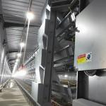 90birds/Set 1.5m3 Poultry Battery Cage System For Broilers Auto Feeding YXB4H120 for sale