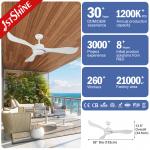 Outdoor Waterproof ABS Plastic Ceiling Fan With Remote Control