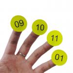 Adhesive Single Custom Die Cut Stickers , Name Printing Decal Cutting Sticker for sale