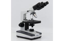 China Halogen Light Student 1000x WF10X Biological Compound Microscope supplier