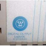1C31122G01 Westinghouse Digital Output Module for sale