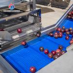 Fruit and vegetable brush bubblecleaning and drying production line