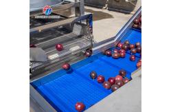 China Fruit and vegetable brush bubblecleaning and drying production line supplier