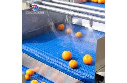 China Fruit and vegetable selection  washing and drying production line supplier