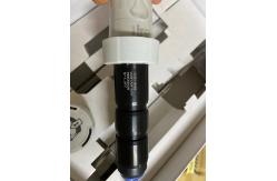 China CCS51-AA11AD03 E&H Instrument Analog Free Chlorine Sensor CCS51 supplier
