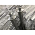 Stainless Steel 304 Mushroom Fountain Nozzle 22gpm for sale
