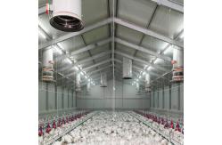 China Fireproof Steel Structure Poultry House Automated Ventilation Steel Frame Chicken Coop supplier