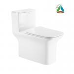 SASO One Piece Toilets , Siphonic Dual Flush Ceramic Toilet Bowl for sale