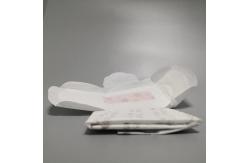 China 200ml Absorbency Green Anion Chip Ultra Maxi Winged Sanitary Pad supplier
