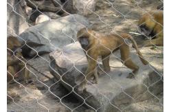 China Monkey Tiger Zoo 1.2mm 7 X 7 Animal Enclosure Mesh supplier