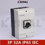 32A 3P 230-440V IP65 Electric Cam Changeover switch IEC standard for sale