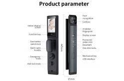 China Secure Smart Lock Intercom 3D Face Automatic Door Lock For Apartment supplier