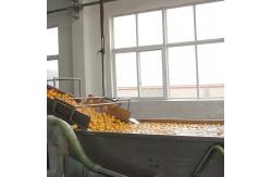 China SUS304 Industrial Orange Processing Line Fruit Bubble Washing Machine 6KW supplier
