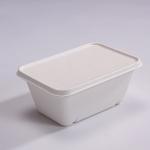 1000ml Sugarcane Bagasse Box Food Box With Lid Disposable Compostable for sale